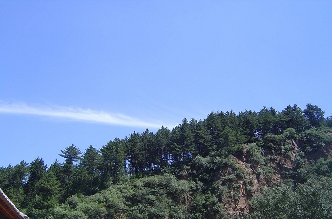 DSC03619.jpg