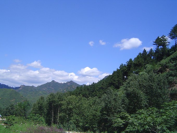 DSC03640.jpg
