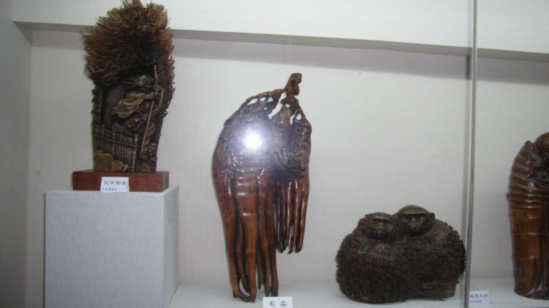 SL552098.JPG