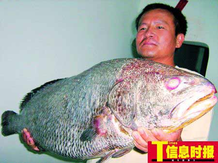 xin_3320804160833390200958.jpg