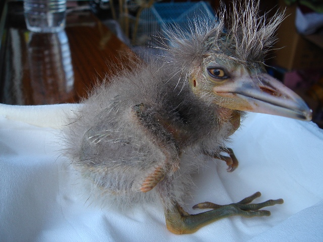 DSC04810.JPG