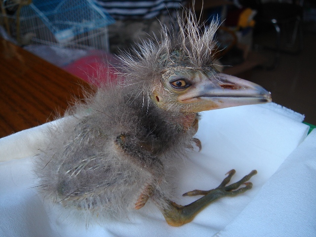 DSC04808.JPG