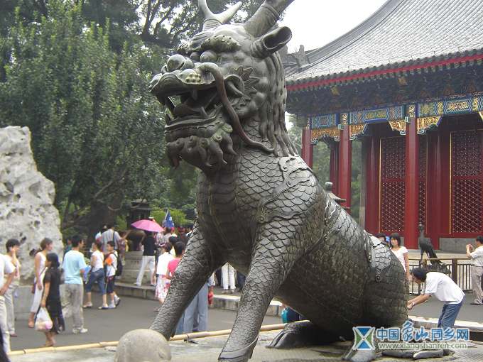 三不像.jpg