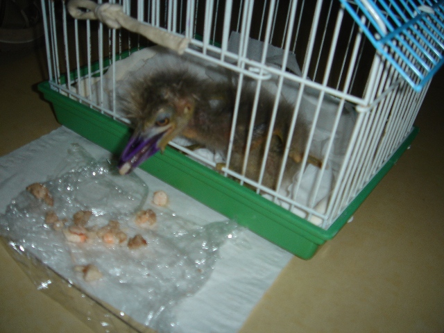 DSC04822.JPG