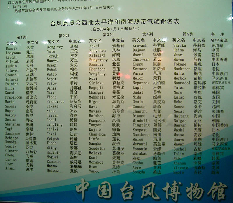 RIMG0029-1.jpg
