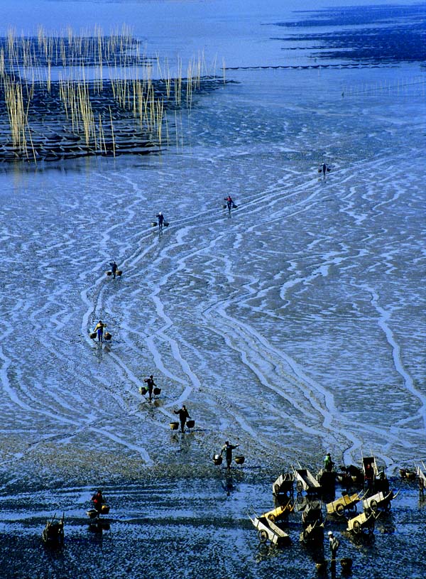 海上秋收-1.jpg