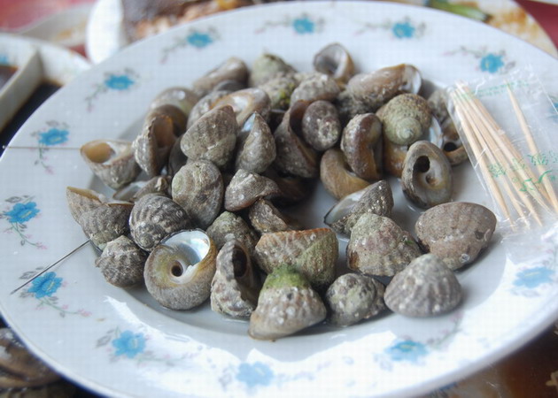 最叫绝的是岩螺，虽外貎粗糙丒陋，那味够鲜美。