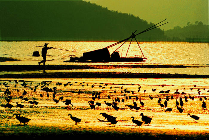 赶海-1.jpg