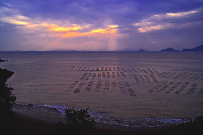 原始 00091.jpg