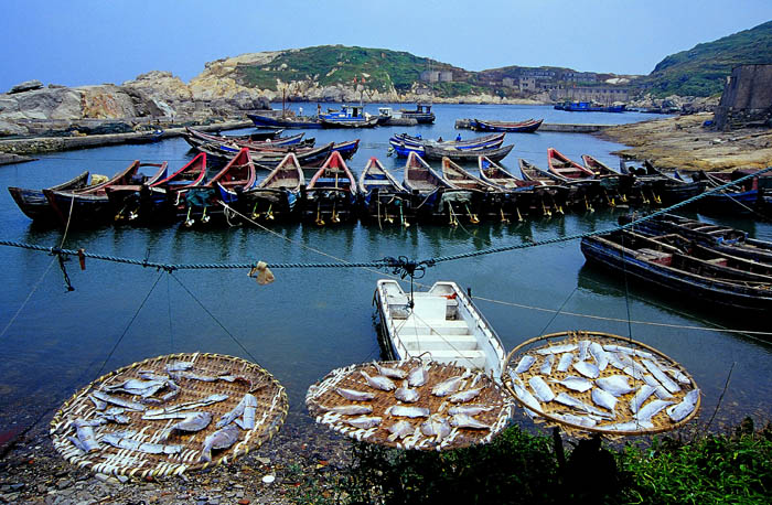 海岛鱼鲞-1.jpg