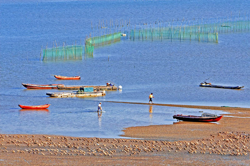 海滩放鸭.jpg