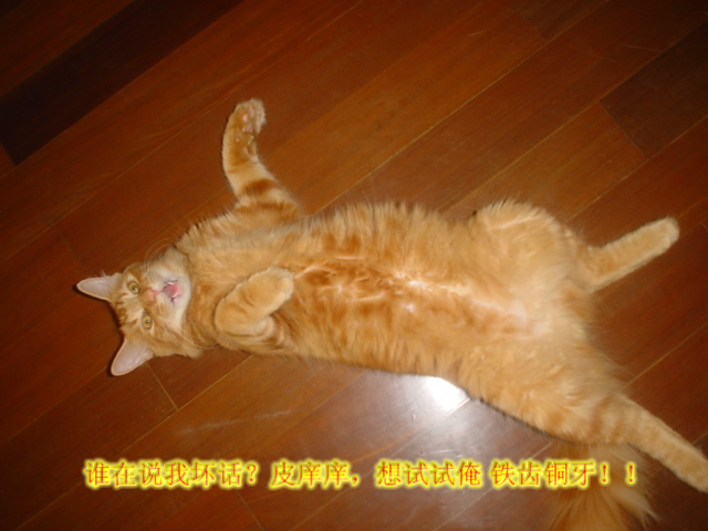 DSC00791.JPG