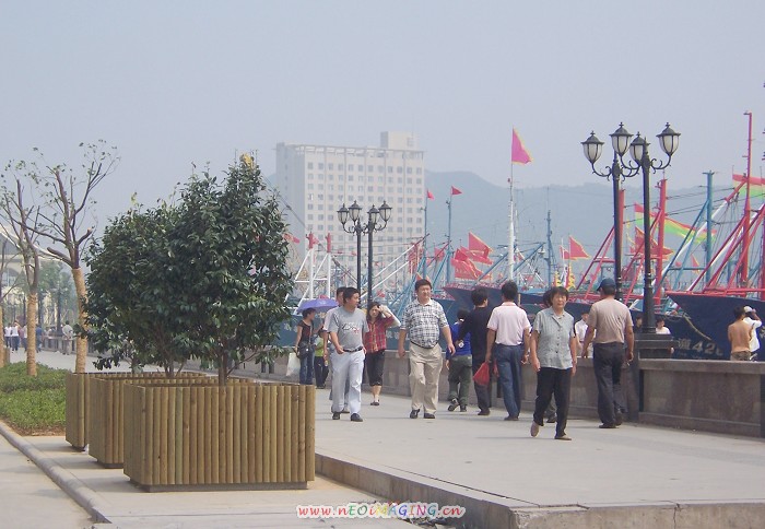 100_0095.JPG