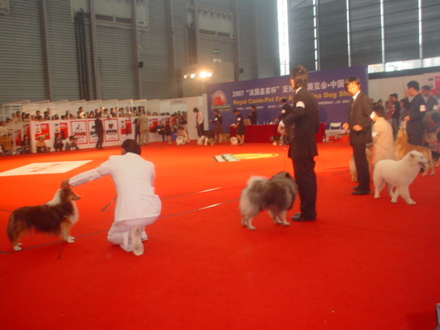 DSC01443.JPG