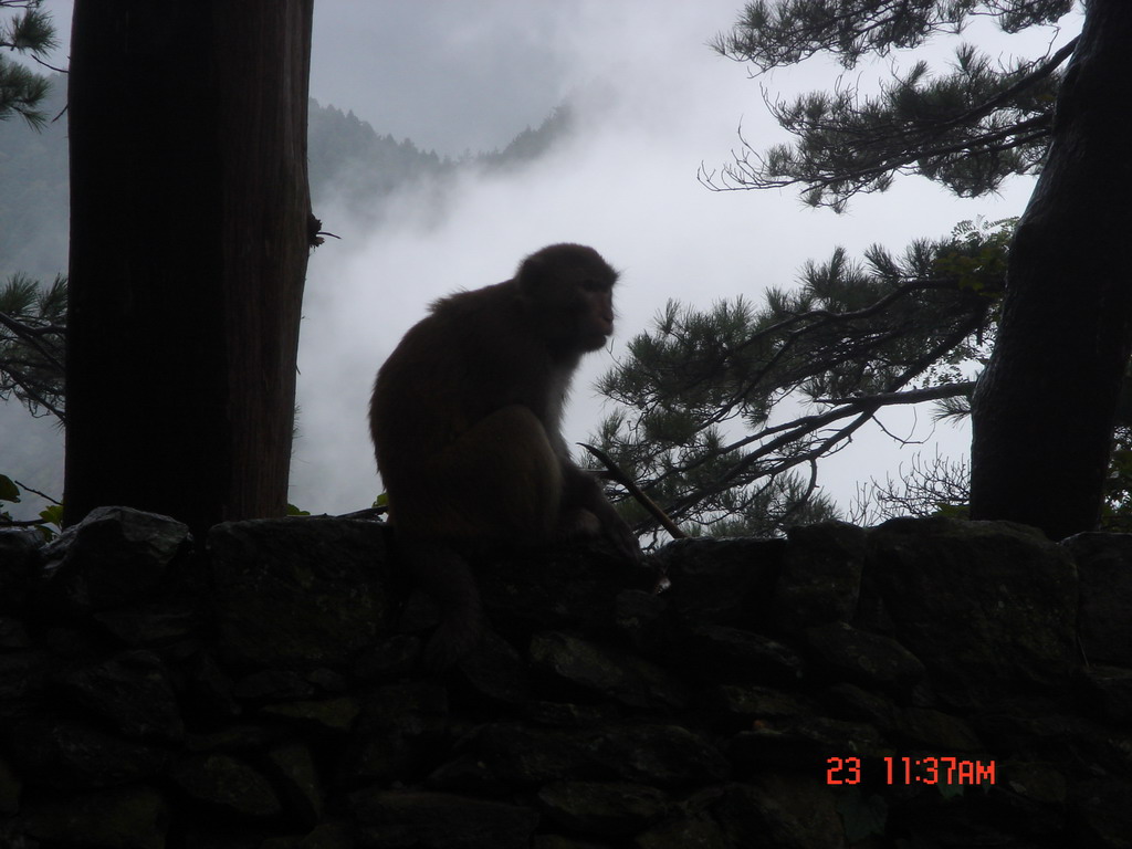DSC00064.JPG