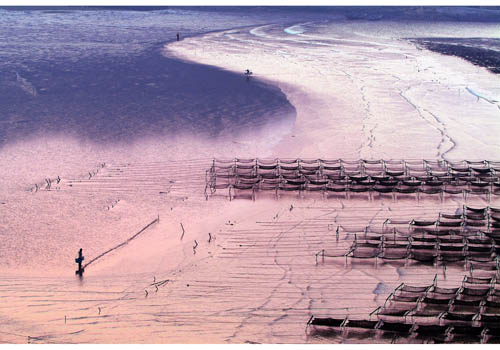 国展# 2#  8X12.jpg