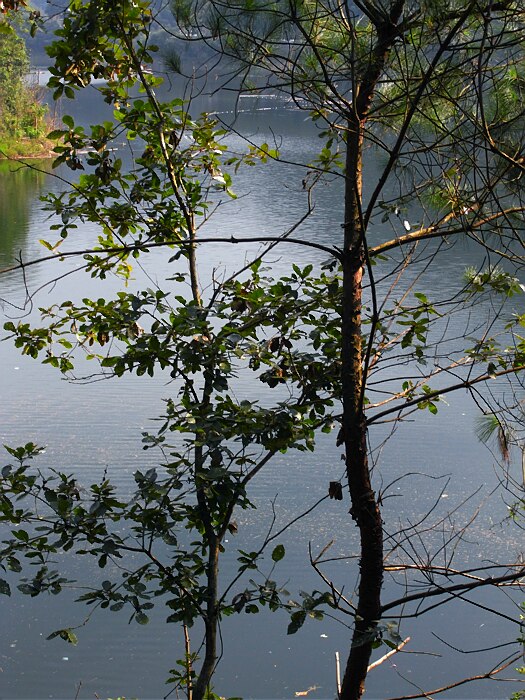 R0012550.jpg
