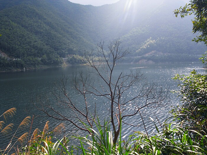 R0012537.jpg