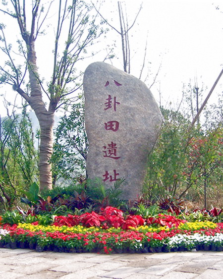 100_1011.jpg
