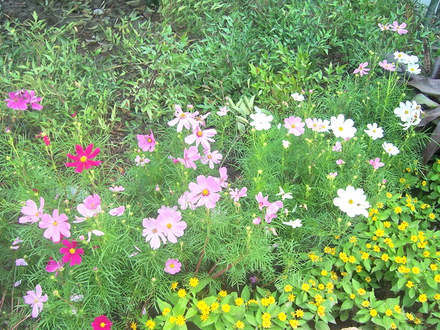 100_1007.jpg
