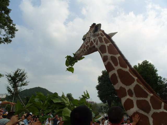 S1050383.JPG