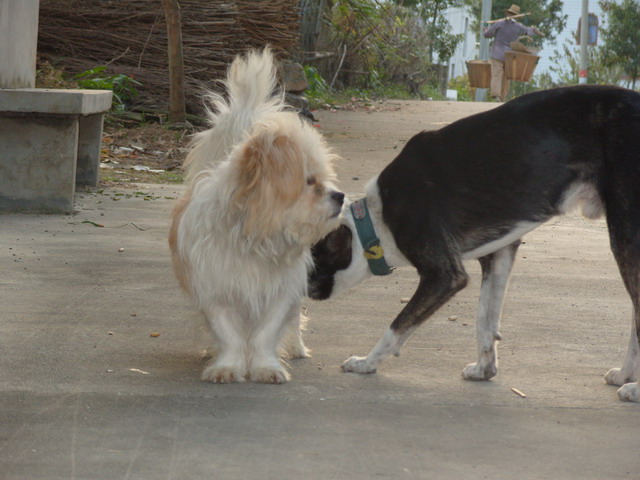 S1050450.JPG