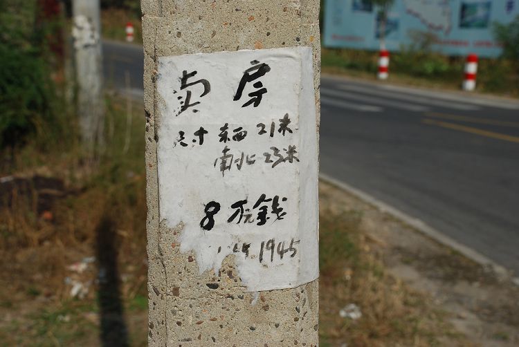 DSC_0816.JPG