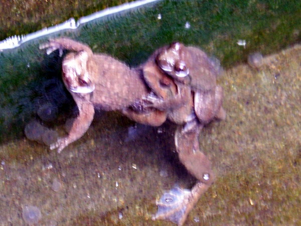 20071007_aa78a9c3c1ad35fe6856wRZUw52Sp4Sw.jpg