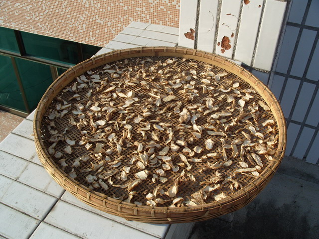 S1050443.JPG