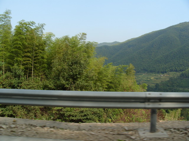 S1050413.JPG