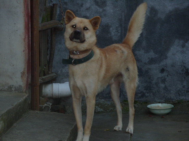 S1050452.JPG