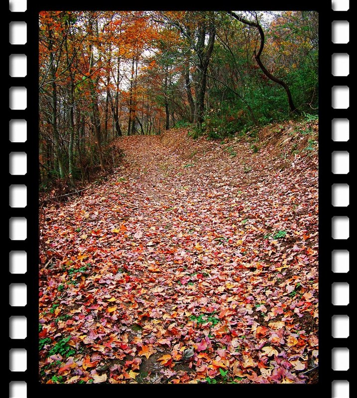 DSCF1873-1.jpg