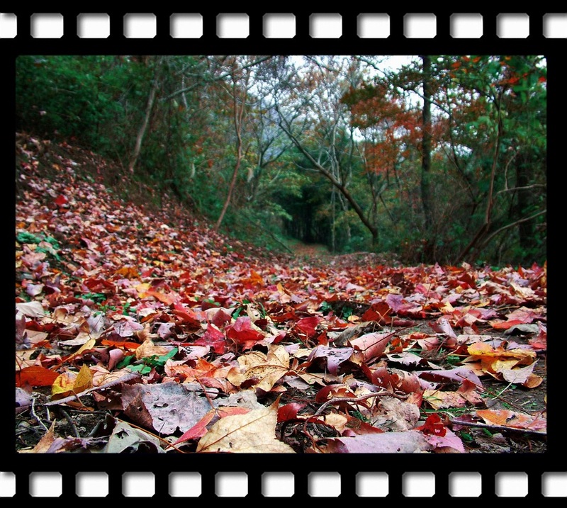DSCF1876-1.jpg