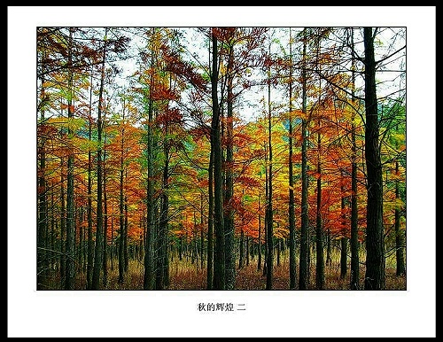 DSCF1555.JPG
