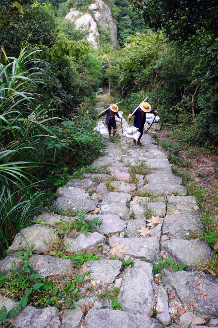 IMG (12).JPG