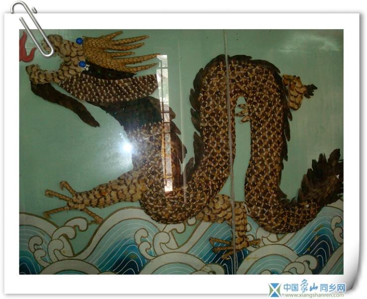 蝴蝶馆_用N只不同品种的蝴蝶拼成的龙你见过吗.jpg