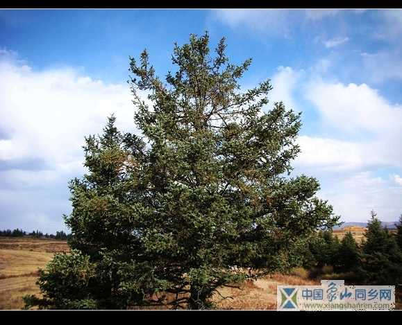 DSCN1400111.jpg