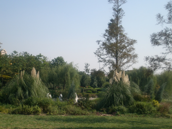 PA200283.JPG