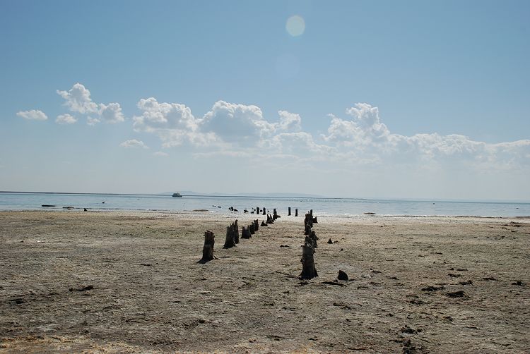 DSC_1393.JPG