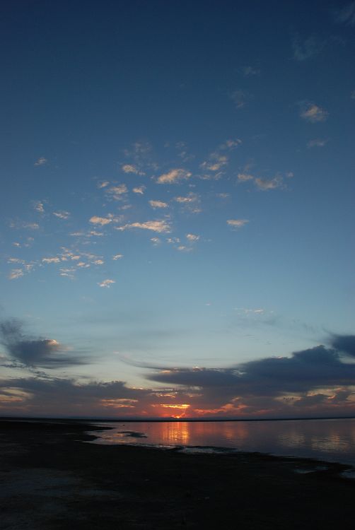 DSC_1243.JPG