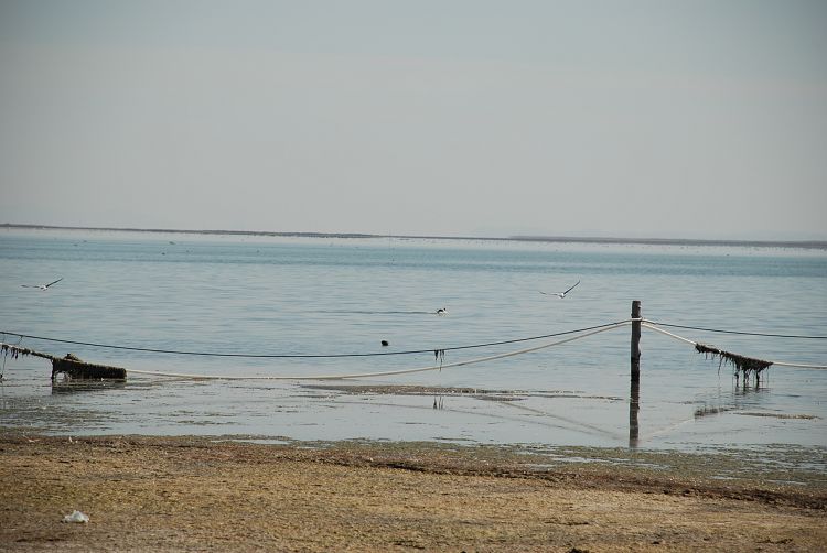 DSC_1397.JPG