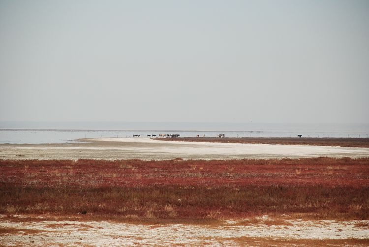 DSC_1326.JPG