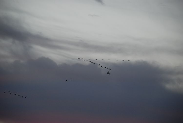 DSC_1216.JPG