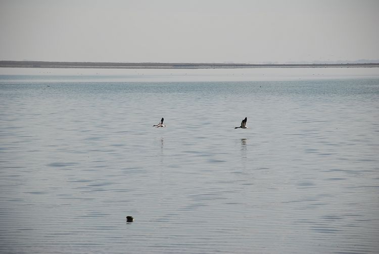 DSC_1404.JPG