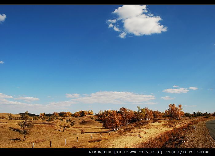 DSC_0025.JPG