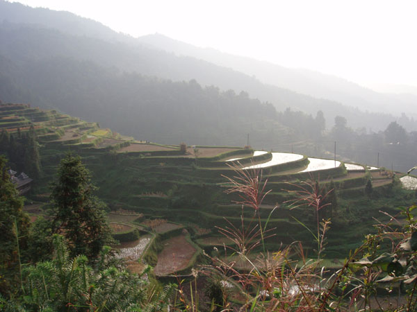 P1010009.jpg