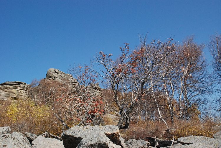 DSC_0248.JPG