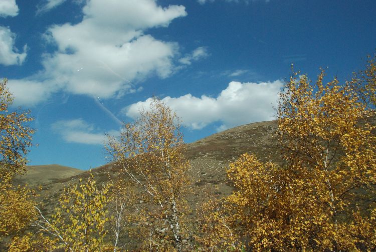 DSC_0280.JPG