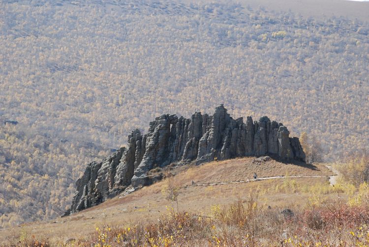 DSC_0239.JPG