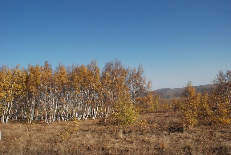 DSC_0158.JPG